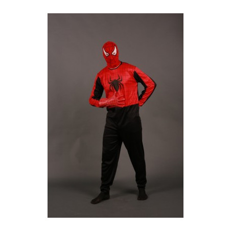 č.2248 spiderman